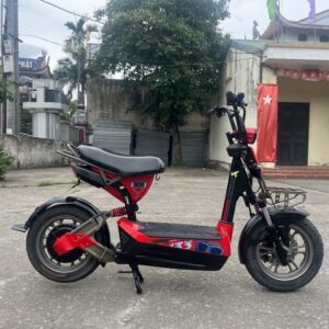 Xe Điện Nhập Khẩu 133 DS Cũ