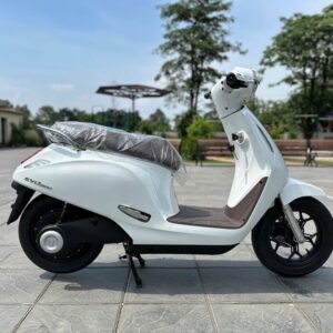 Xe Máy Điện Vinfast Evo200